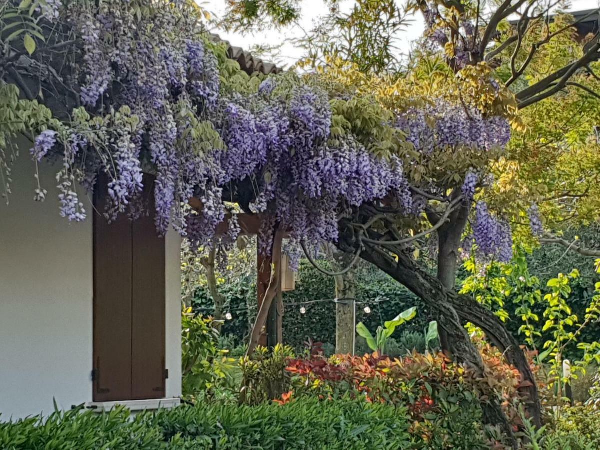 Locanda Da Vittorio Manerba del Garda Bagian luar foto